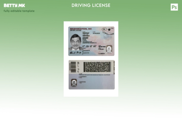 Шаблон за возачка дозвола во модерен стил на САД Вашингтон ДЦ